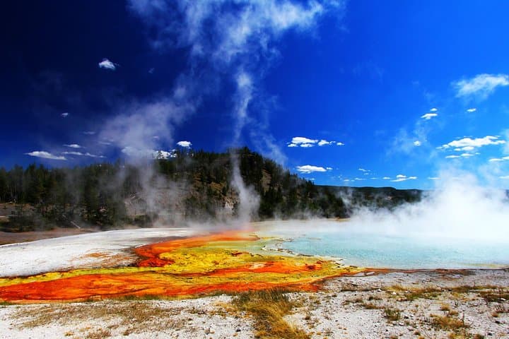 Yellowstone Lower Loop Private Tour — Grand Prismatic, Old Faithful & Grand Canyon (Full-Day)