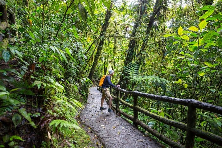 Rain Forest Aerial Tram Private Tour from San Jose — Treetop Tram & Nature Walk photo 2