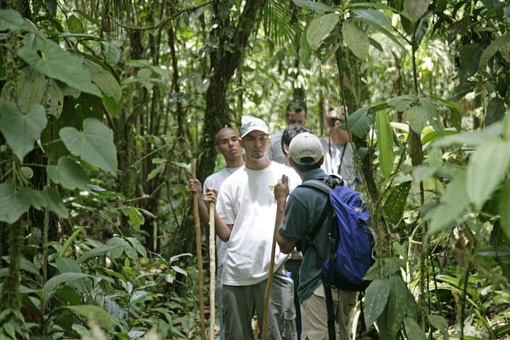 Rain Forest Aerial Tram Private Tour from San Jose — Treetop Tram & Nature Walk photo 6