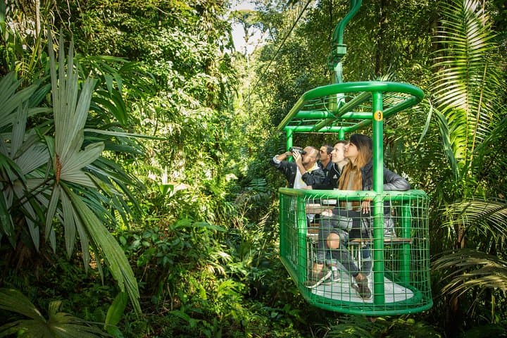 Rain Forest Aerial Tram Private Tour from San Jose — Treetop Tram & Nature Walk
