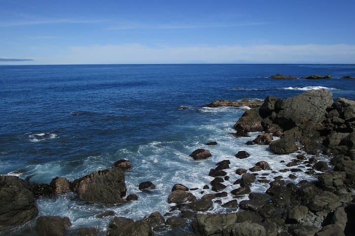 Coastal Drive from Martinborough to Cape Palliser: Wine, Seals & Lighthouse Views photo 5