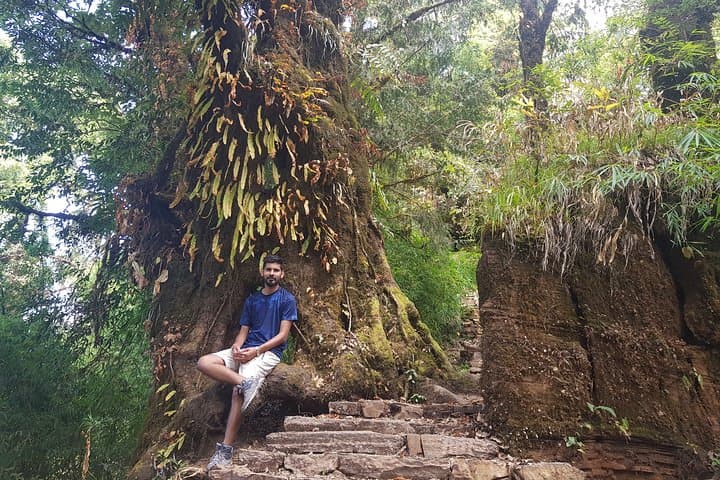 Mardi Himal Trek: 10-Day Tea-House Trek to Annapurna Viewpoints photo 3