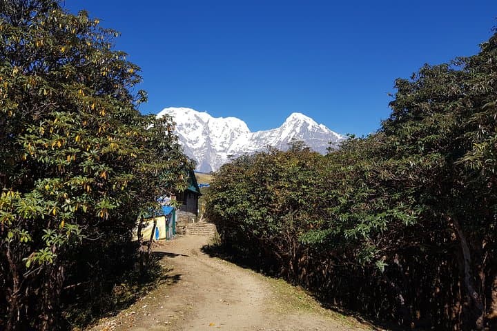 Mardi Himal Trek: 10-Day Tea-House Trek to Annapurna Viewpoints photo 4
