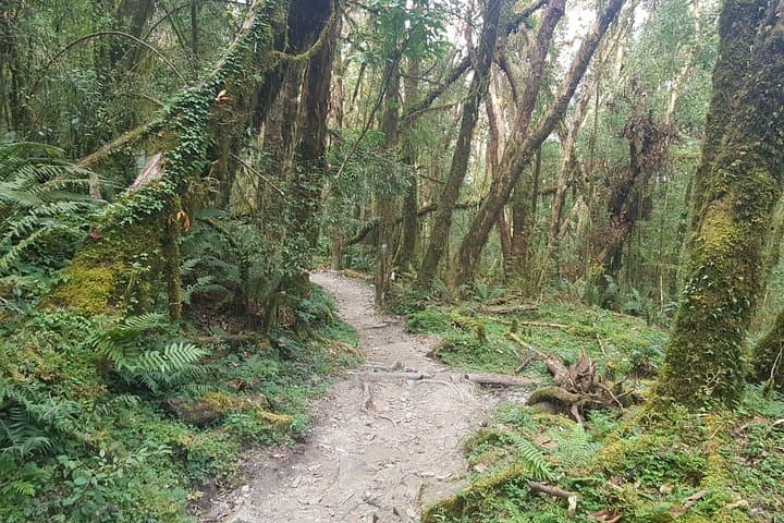 Mardi Himal Trek: 10-Day Tea-House Trek to Annapurna Viewpoints photo 6