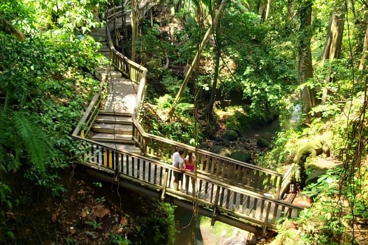 Best of Ubud Private Tour: Monkey Forest, Tegalalang & Temple Walks photo 3