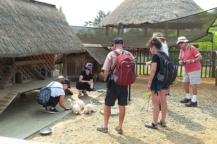 Luang Prabang Full-Day: Buffalo Dairy Farm, Kuang Si Falls & City Temples photo 4