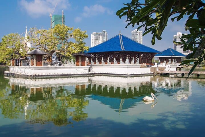 Colombo to Kandy & Nuwara Eliya: 2-Day Cultural and Wildlife Tour photo 4