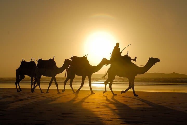 Coastal Morocco: 3-Day Mirleft & Sidi-Ifni Private Coastal Tour photo 4