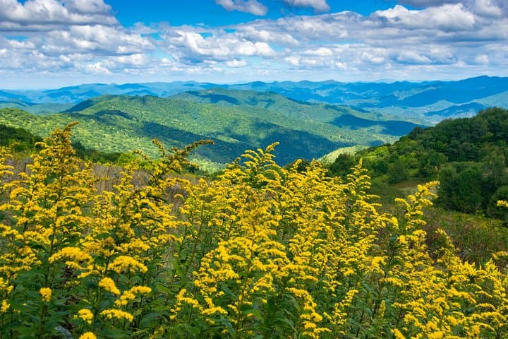 Blue Ridge Half-Day Hike: Long-Range Views Near Asheville