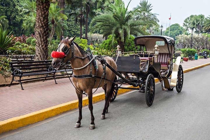 Cairo Horse-Carriage & Walking Tour: Tahrir Square, Nile Corniche & Cairo Tower