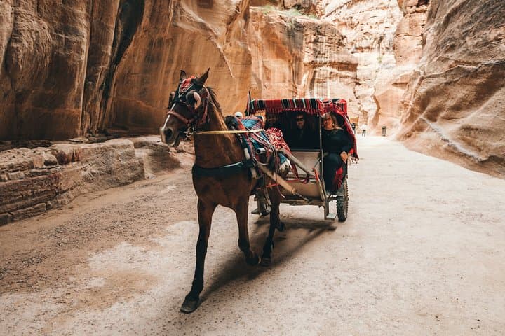 Two-Day Petra Tour: Explore Petra & Little Petra with a Local Guide photo 3