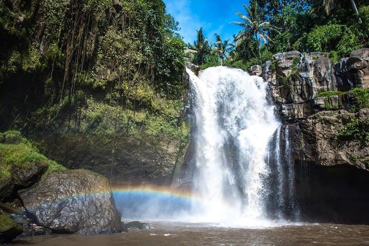 One-Day Bali: Waterfall, Kintamani Volcano & Tegalalang Rice Terrace Tour photo 1
