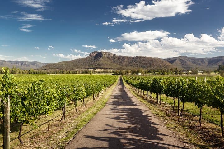 Hunter Valley Private Wine Tour from Sydney — Cellars, Cheese & Chocolate photo 5
