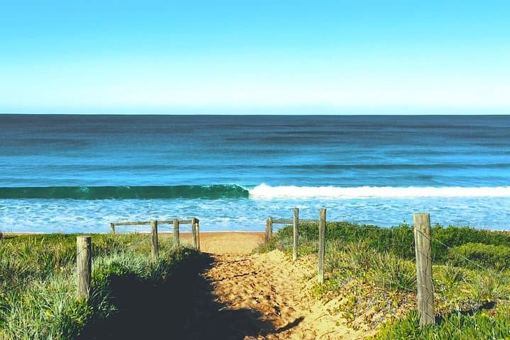 Northern Beaches & Ku-ring-gai Small-Group Tour from Manly — Beaches, Bushwalks & Aboriginal Heritage photo 5