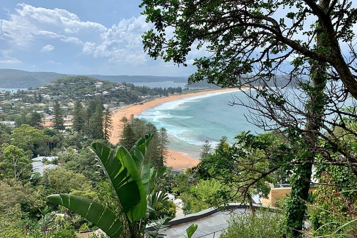 Northern Beaches & Ku-ring-gai Small-Group Tour from Manly — Beaches, Bushwalks & Aboriginal Heritage photo 6