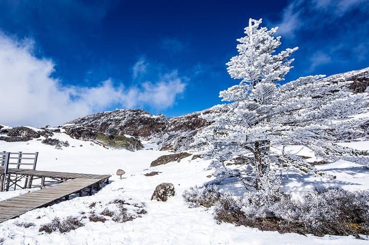 Jiaozi Snow Mountain Day Tour from Kunming — Cable Car, Waterfalls & Alpine Views photo 2