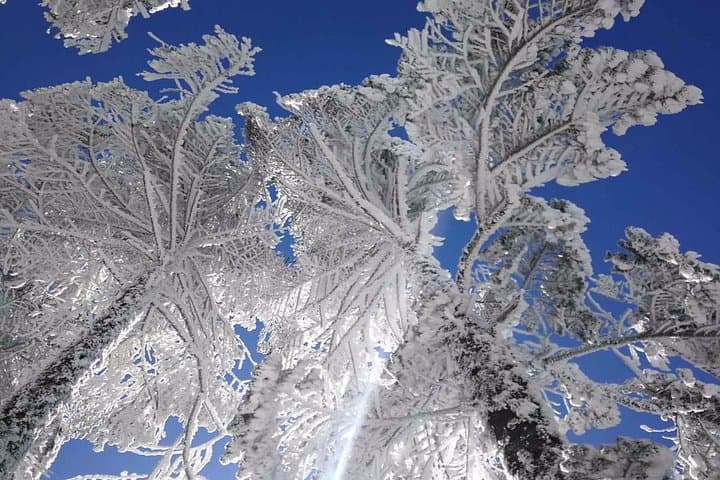 Jiaozi Snow Mountain Day Tour from Kunming — Cable Car, Waterfalls & Alpine Views photo 5
