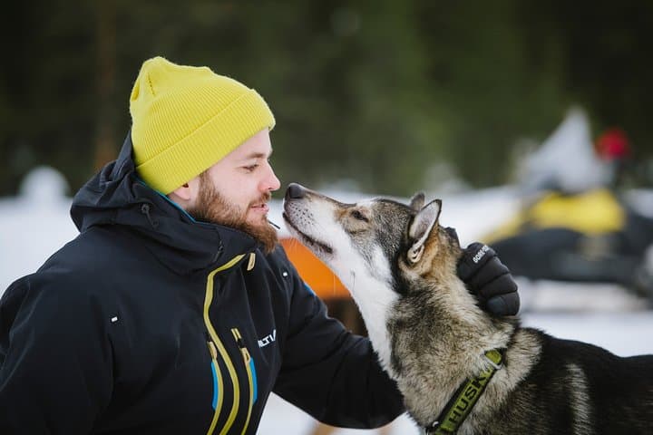 Dogsled Adventure in Kiruna: Icehotel Dog Sled Tours & Swedish Fika photo 4