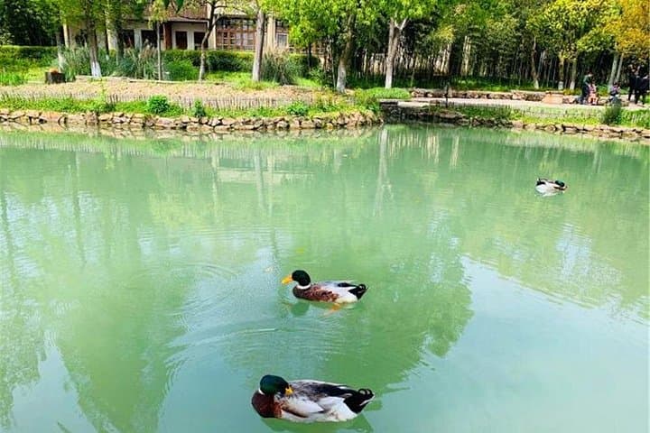 Overnight Escape to Wu Village: Wuzhen Water-Town Hotel Stay & Breakfast photo 2