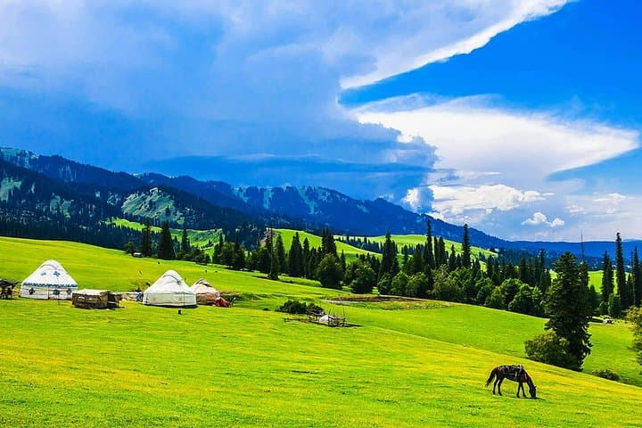 7-Day Ili Tour: Sayram Lake & Naraty Grassland Adventure photo 5