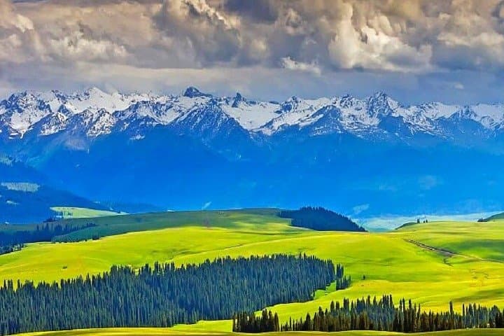 7-Day Ili Tour: Sayram Lake & Naraty Grassland Adventure photo 6