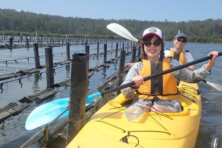 Paddle and Taste: Batemans Bay Oyster Kayak Tour photo 5