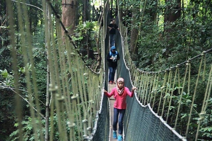 Best of Malaysia: 10-Day Private Tour from Kuala Lumpur photo 2