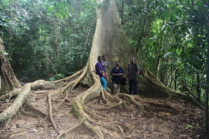 Best of Malaysia: 10-Day Private Tour from Kuala Lumpur photo 3