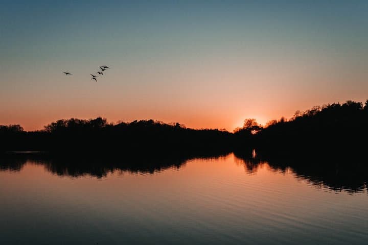 Cherating Fireflies Tour: Evening River Boat Cruise near Kuantan photo 3