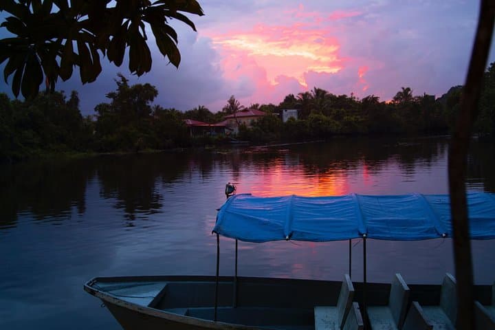 Cherating Fireflies Tour: Evening River Boat Cruise near Kuantan photo 4