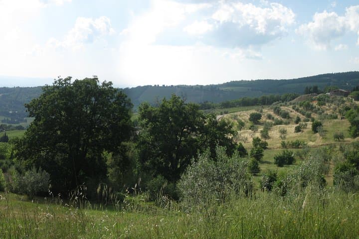 Guided Hiking in Tuscany: Private Day Trek from Siena to San Gimignano photo 6