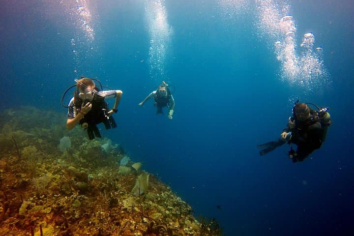 Saona Island Diving: Coral Gardens and Turquoise Seas from Bavaro photo 4