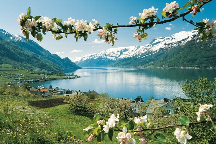 Norway in a Nutshell from Bergen: Sognefjord Cruise & Flåm Railway
