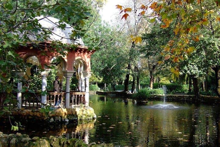 Seville by Bike: Private 2.5-Hour City Cycling Tour photo 4