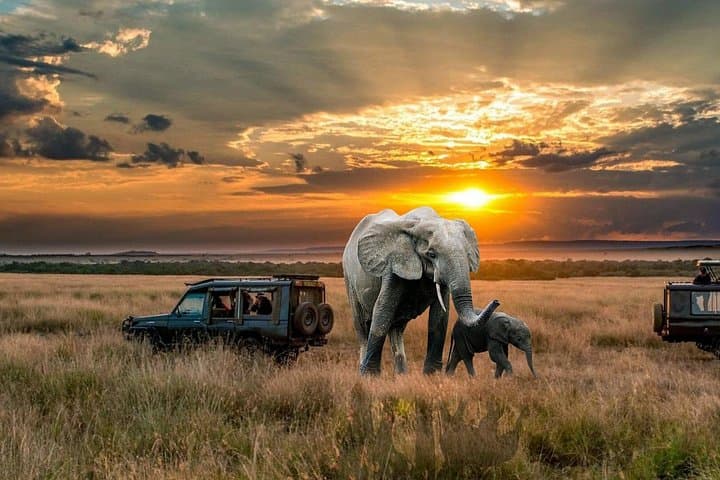 2-Day Northern Circuit Safari: Lake Manyara & Ngorongoro Crater photo 1