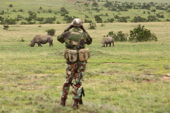 7-Day Amboseli, Naivasha, Nakuru & Masai Mara Safari — Kenya Wildlife and Rift Valley Highlights
