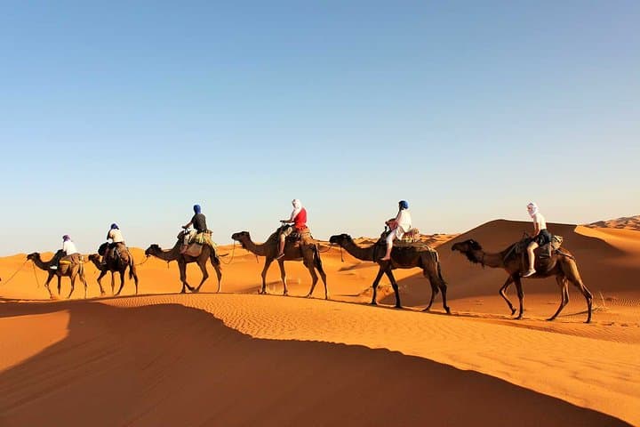 8-Day Morocco Imperial Cities & Sahara Tour from Casablanca photo 6