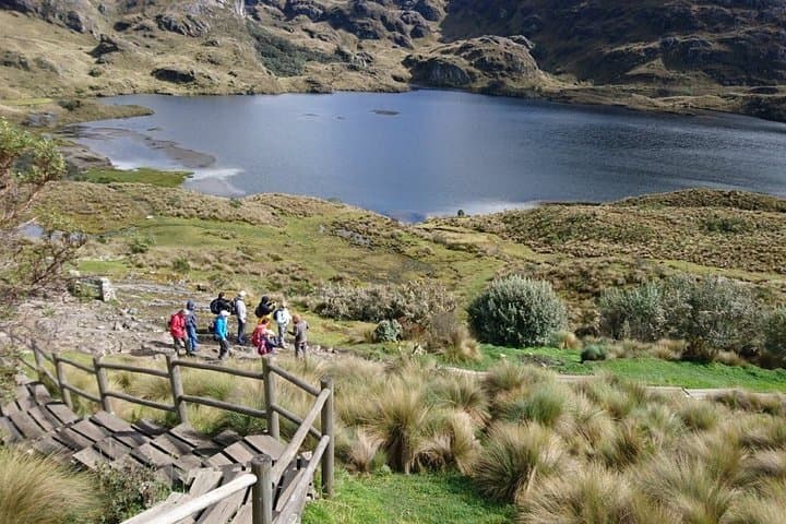 Cajas National Park Full-Day Trek from Cuenca — Cucheros to Mamamag Lagoons photo 6