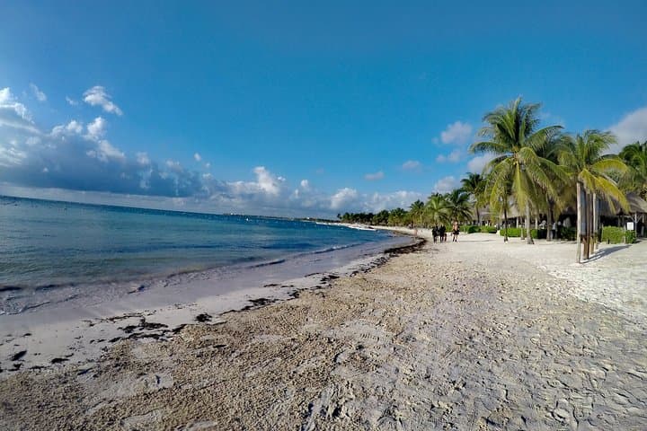 Private Cenote & Akumal Turtle Snorkel — Guided Tour from Tulum photo 3