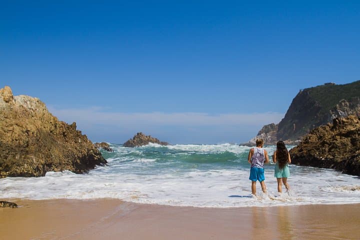 Garden Route Highlights: 4-Day Knysna, Tsitsikamma & Cango Caves Adventure photo 6