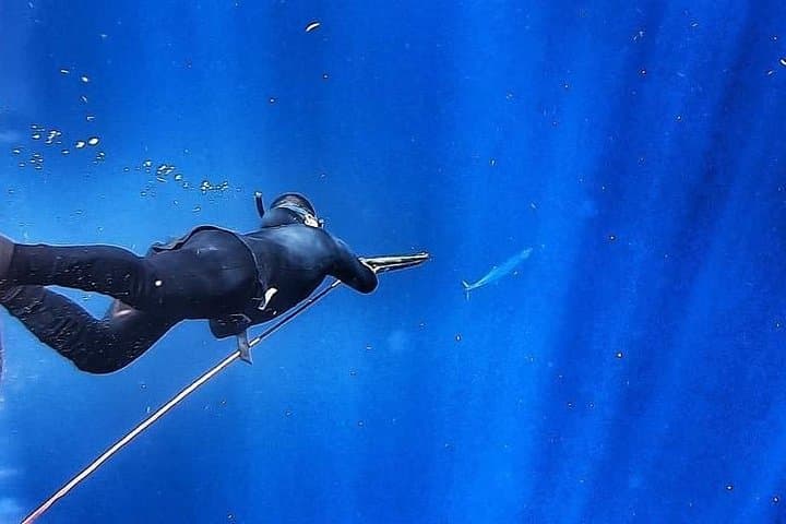 Spearfishing in Tulum & Playa del Carmen: Caribbean Reef-to-Deep Adventure photo 6