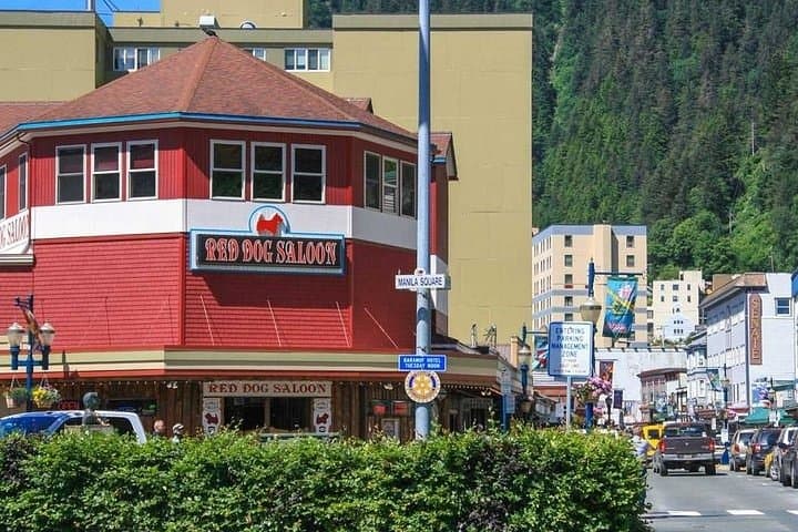 Juneau Whale Watching & Mendenhall Glacier Photo Stop — 3-Hour Tour photo 5