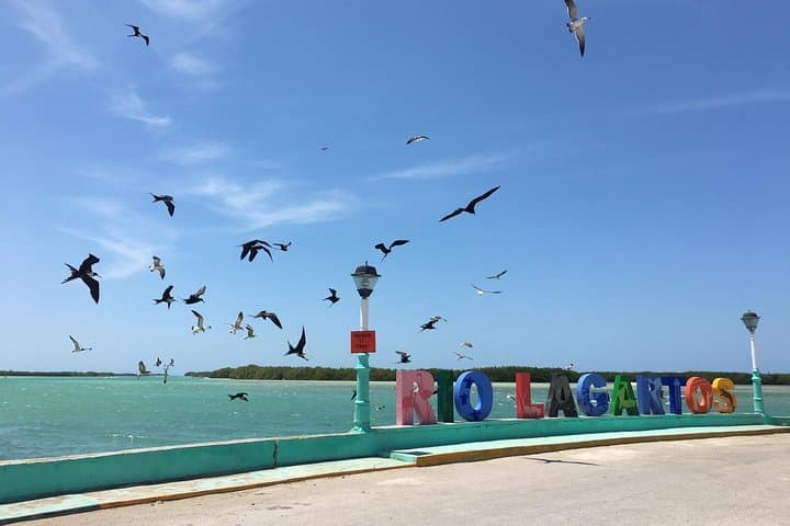 Las Coloradas Pink Lake Tour from Cancún — Full-Day Salt Flats, Boat Ride & Lunch photo 3