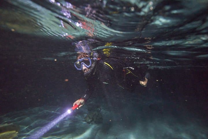 Moorea Night Snorkeling: Swim with the Lagoon After Dark