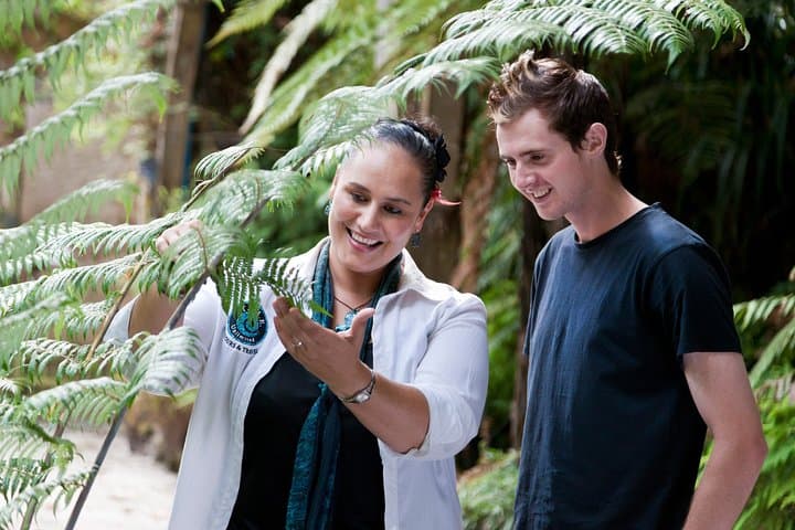 Auckland Maori Culture and West Coast Adventure Tour photo 3