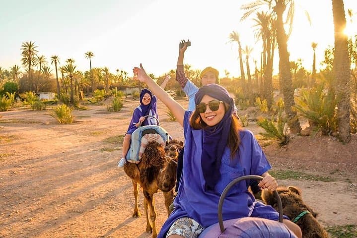 Sunset Camel Ride in Marrakech Palm Grove: 2-Hour Palmeraie Camel Trek
