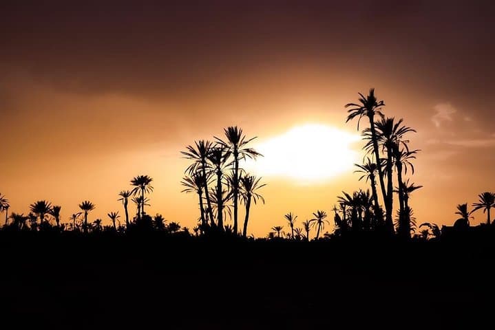 Sunset Camel Ride in Marrakech Palm Grove: 2-Hour Palmeraie Camel Trek photo 3