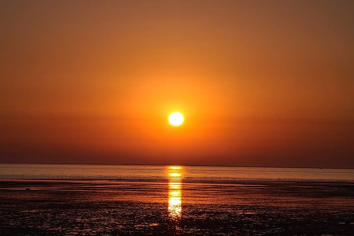 Incheon Full-Day Sunset and Seafood Tour — Wolmido, Murals & Macian Beach Sunset photo 2