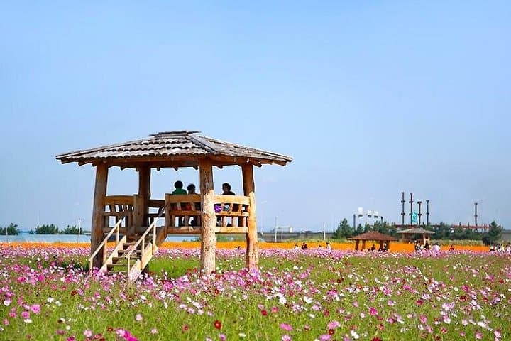 Incheon Full-Day Sunset and Seafood Tour — Wolmido, Murals & Macian Beach Sunset photo 5