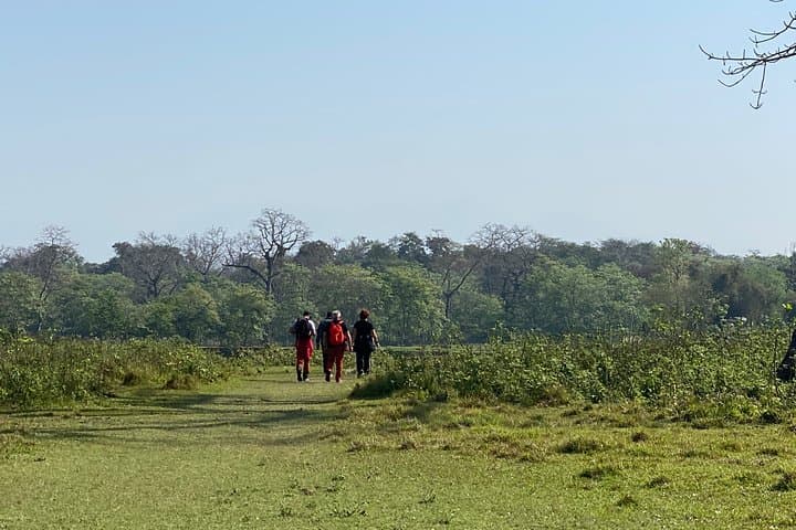 Chitwan Jungle Nature Walk: Guided Safari Through the Terai Forests photo 4